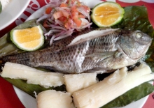 Imagen Maito de Tilapia